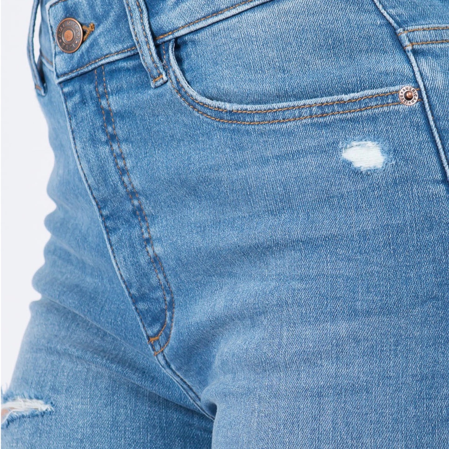 Plus Size High Waist Distressed Skinny Jeans