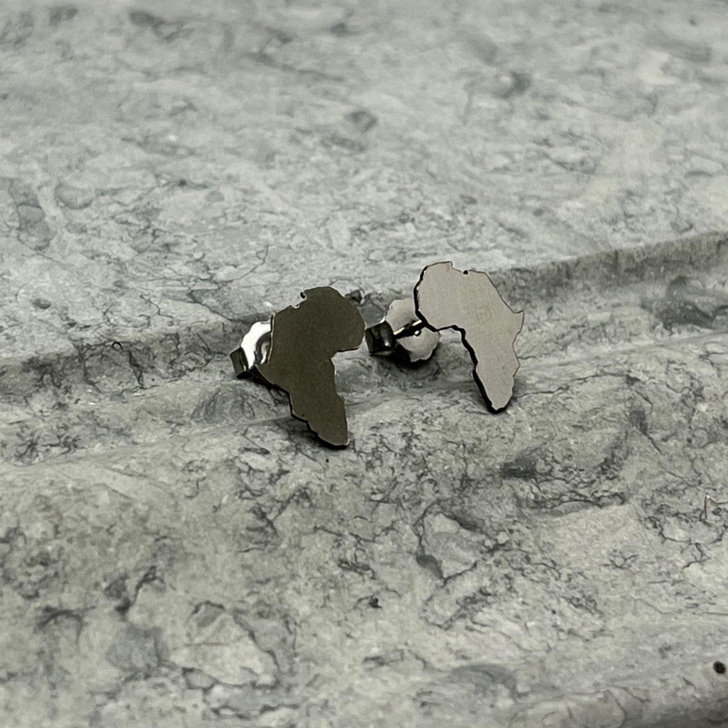 Stainless Steel Africa Earrings