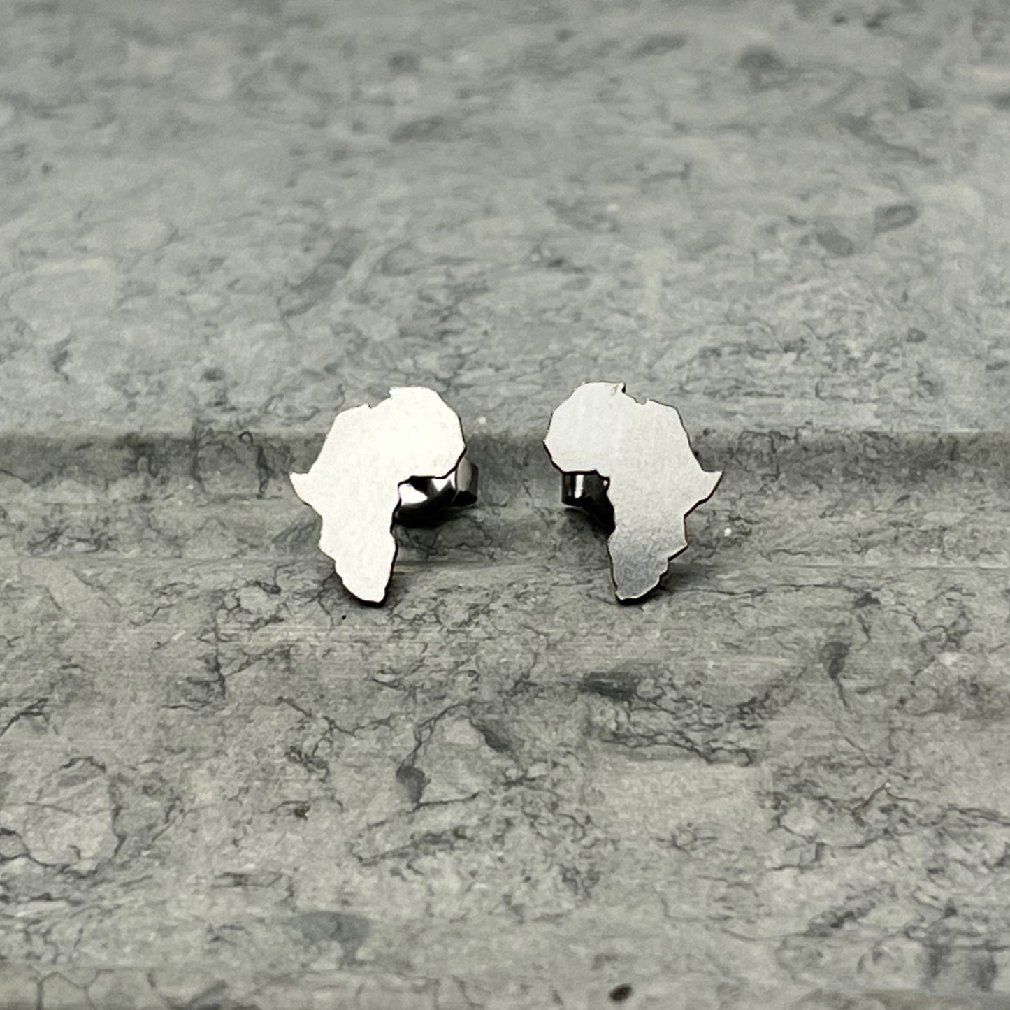 Stainless Steel Africa Earrings
