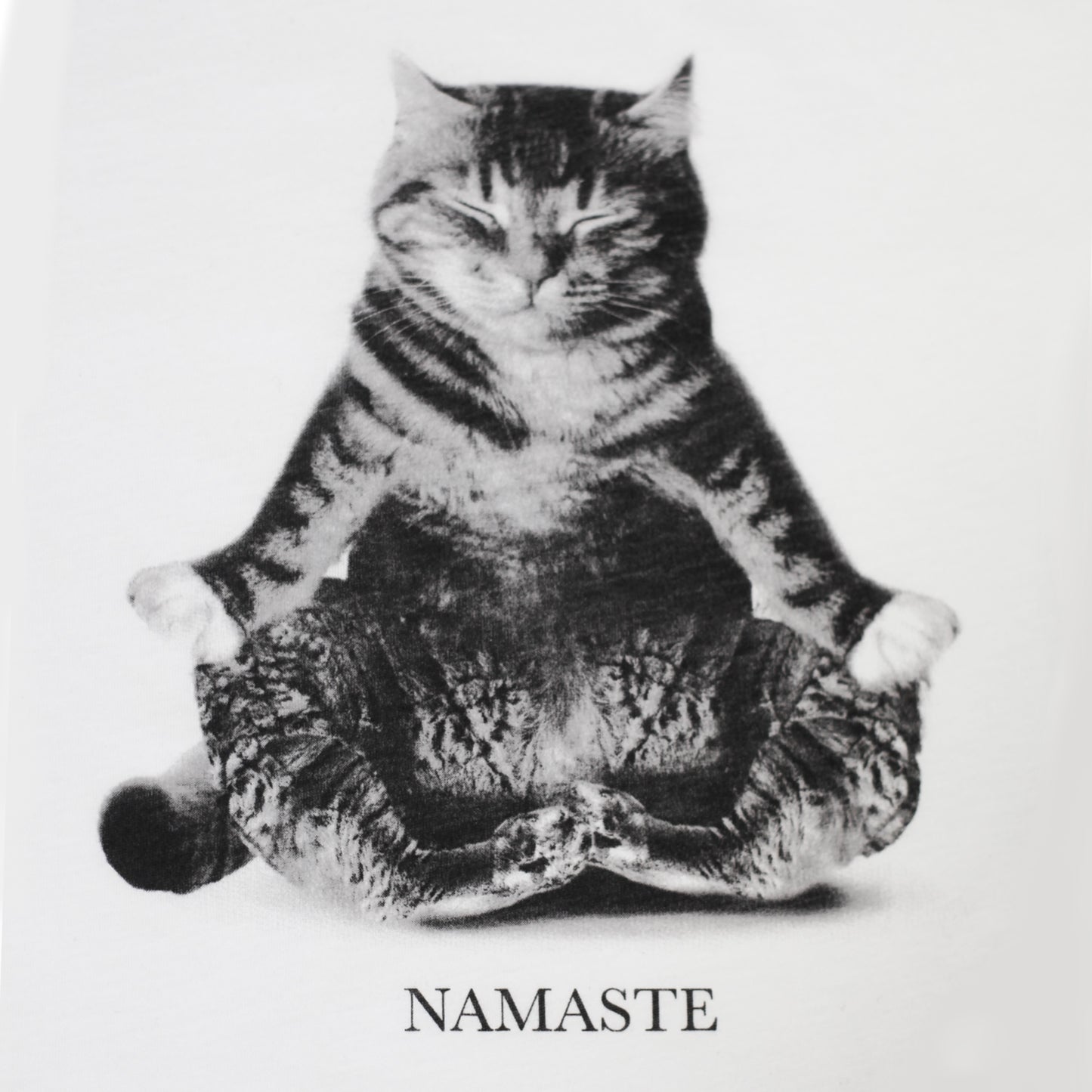 Namaste Kitty